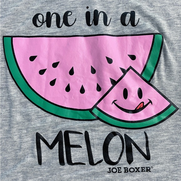 Joe Boxer Watermelon “One In A Melon” Graphic Tee Gray NWT Medium - Picture 3 of 7